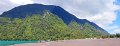 S70131Pan24