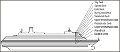 zaandam-deckplan