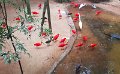 20180225_021255