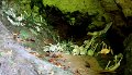 20190223_091542