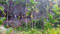 20190223_092508