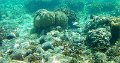 20190223_101320