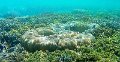 20190223_101542