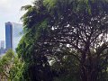 02_Day1_Pan