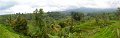 Day5_Jatiluwih_Pan01