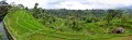 Day5_Jatiluwih_Pan02