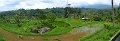 Day5_Jatiluwih_Pan03