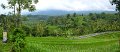 Day5_Jatiluwih_Pan04