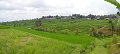 Day5_Jatiluwih_Pan08