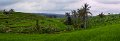 Day5_Jatiluwih_Pan11