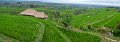 Day5_Jatiluwih_Pan14