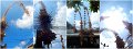01Smnyk_Coolpix1