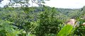 03UbudPan02