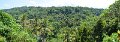 03UbudPan04