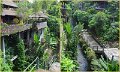 Day2_IntoUbud16