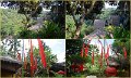 Day2_IntoUbud2