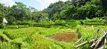 RiverwalkPan03
