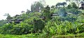 RiverwalkPan04