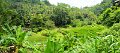 RiverwalkPan06
