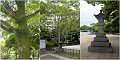 06_Miyajima23