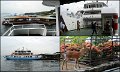 06_Miyajima31
