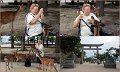 06_Miyajima33