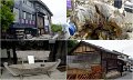 06_Miyajima44