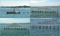 07_Sendai41