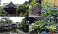 10_Kyoto22