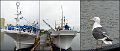 02b_Kushiro6