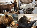 05_Russia21