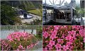 07_Hakodate28