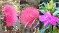 Joys3