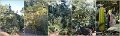 MtCootha7