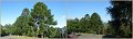 MtCootha8