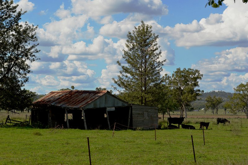 DSC_0090.JPG - Texas, near the Dumaresq River cam grounds