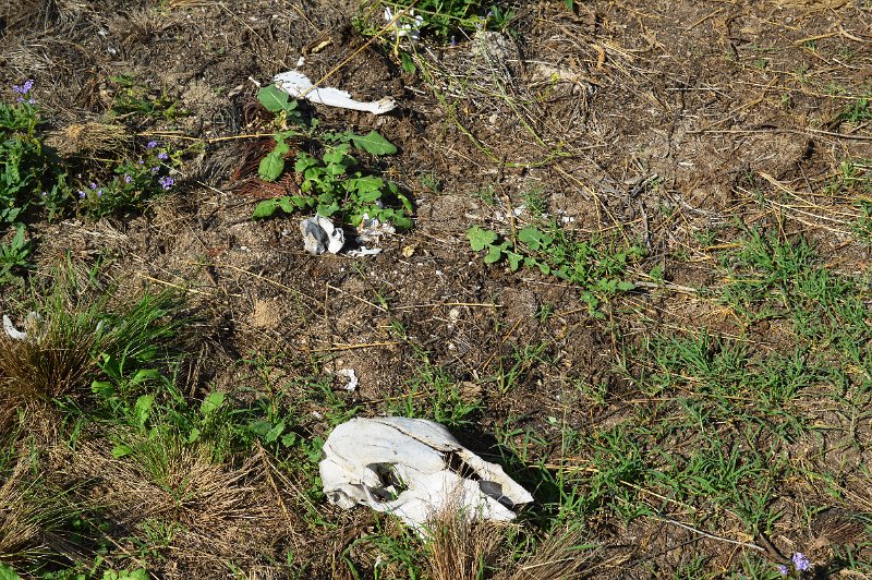 DSC_0093.JPG - Texas, signs of harsher times