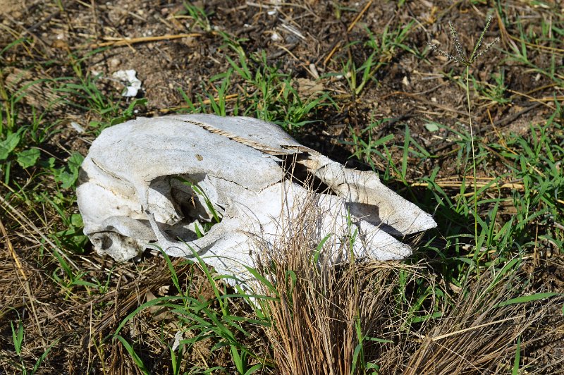 DSC_0094.JPG - Texas, signs of harsher times