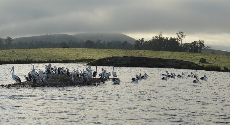 05SomersetPan01.JPG - A misty morning at Lake Somesrset 