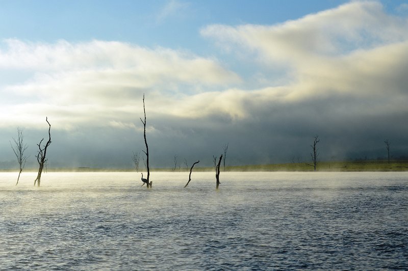 DSC_0003.JPG - A misty morning at Lake Somesrset 