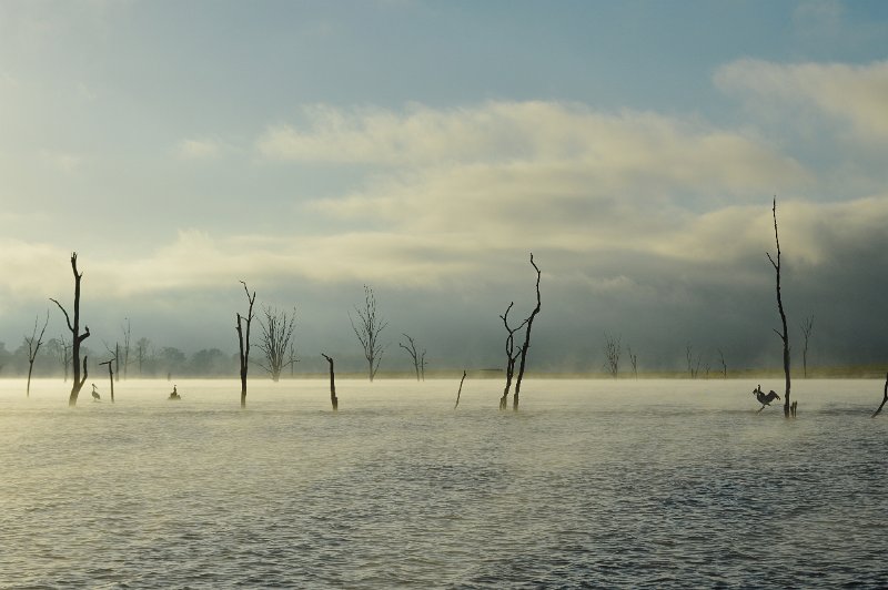 DSC_0005.JPG - A misty morning at Lake Somesrset 