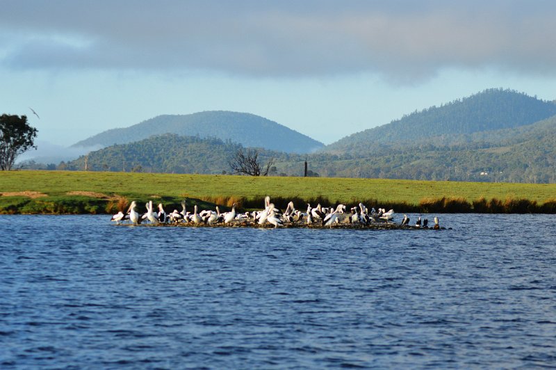 DSC_0014.JPG - Crowded island on the lake
