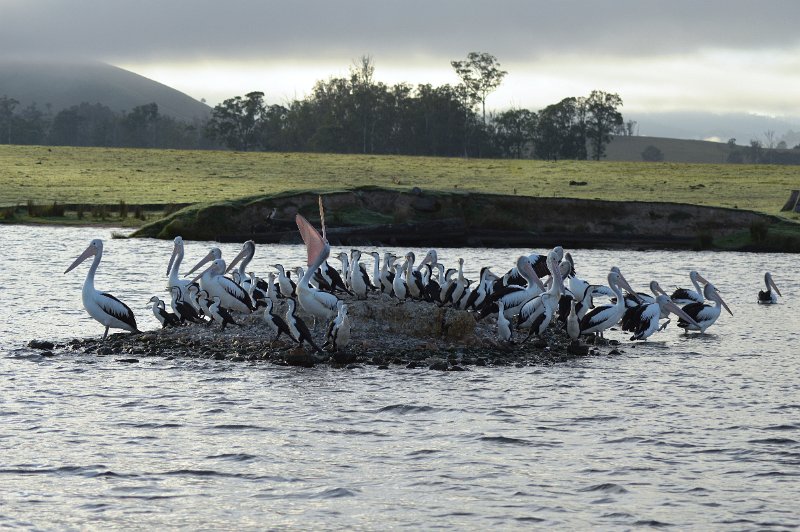 DSC_0018.JPG - Crowded island on the lake