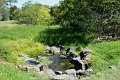 DSC_0006a