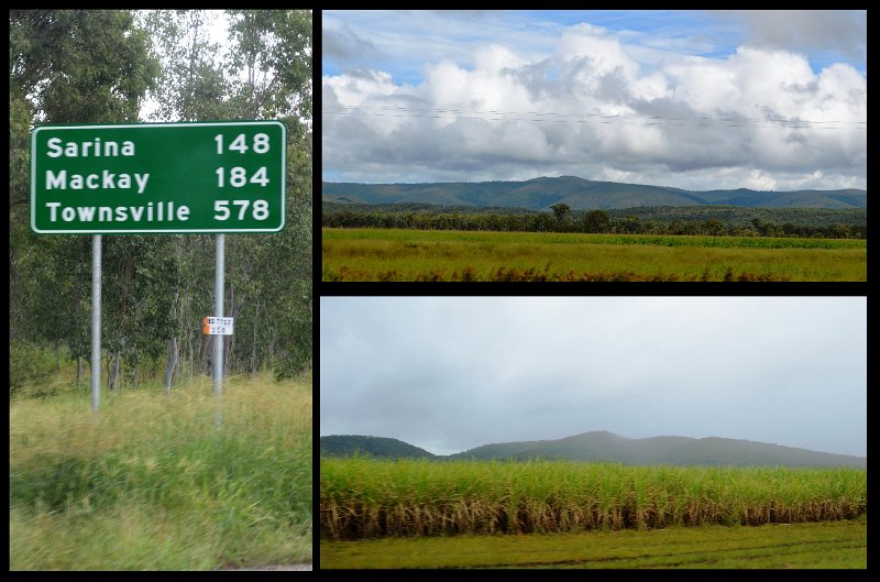 08Mackay1.jpg - Canefields near Marlborough.