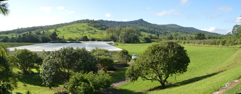 09ToAirliePan01.JPG - Calen; Shane and Anita's fruit trees under cover - panorama