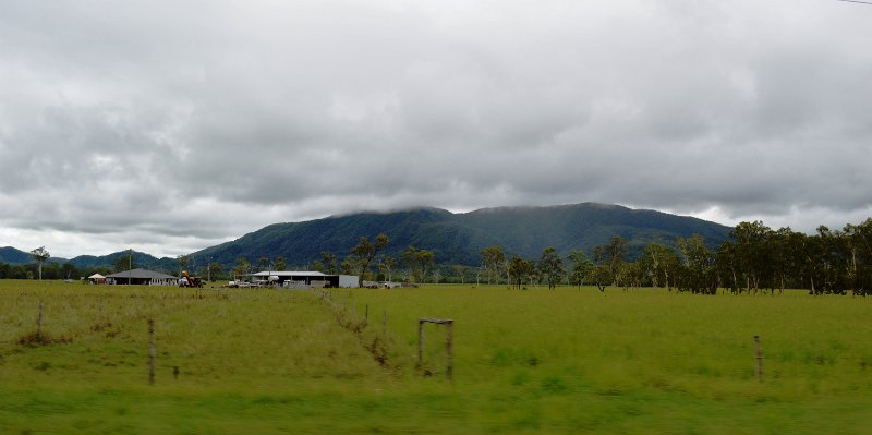 DSC_0022.JPG - Canefields near Marlborough.