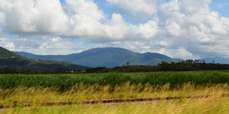 DSC_0031a.JPG - Whitsunday cane fields