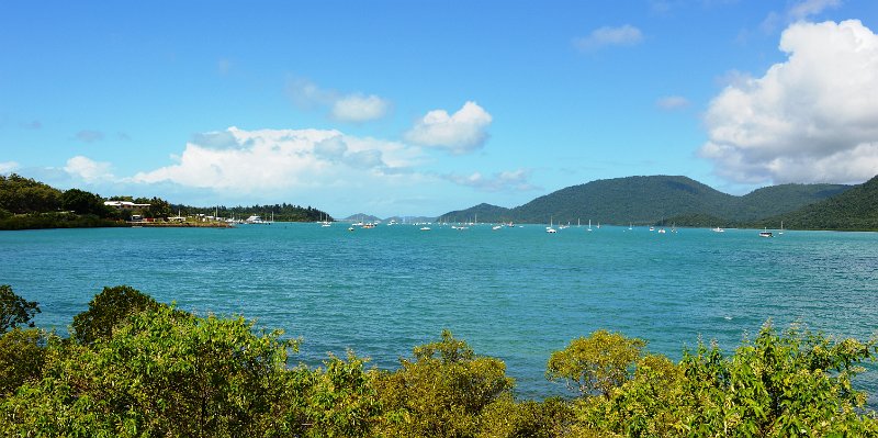 DSC_0032a.JPG - Shute Harbour