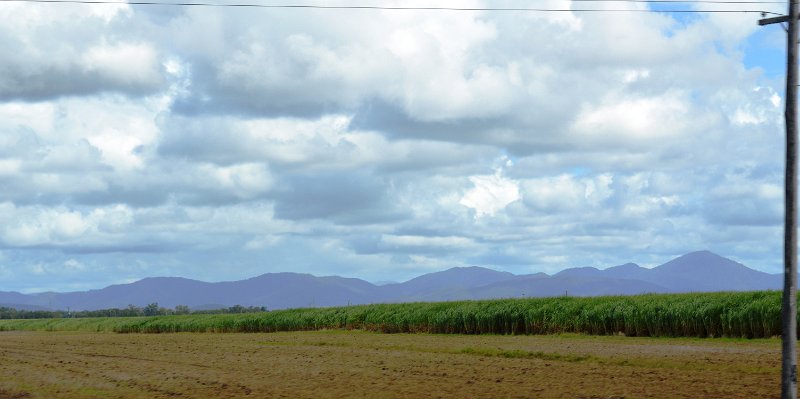 DSC_0037.JPG - Whitsunday cane fields and Conway range